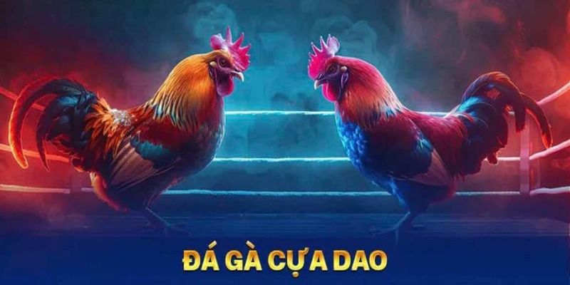 Luật chơi đá gà cựa dao chi tiết tại Tin88