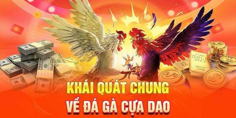 Vài nét về đá gà cựa dao tại nhà cái Tin88
