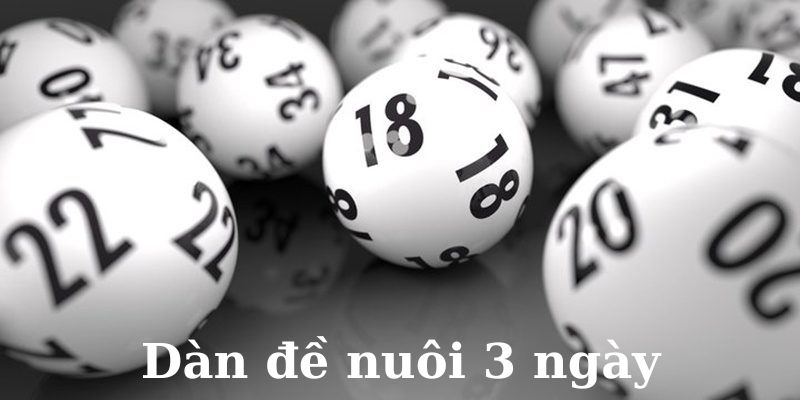 Những thông tin thú vị về dàn đề nuôi 3 ngày tại Tin88