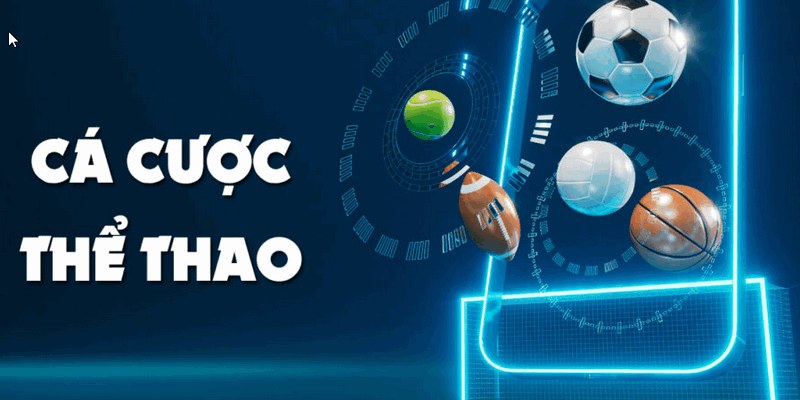 Ưu điểm sáng giá của cá độ thể thao tại Tin88